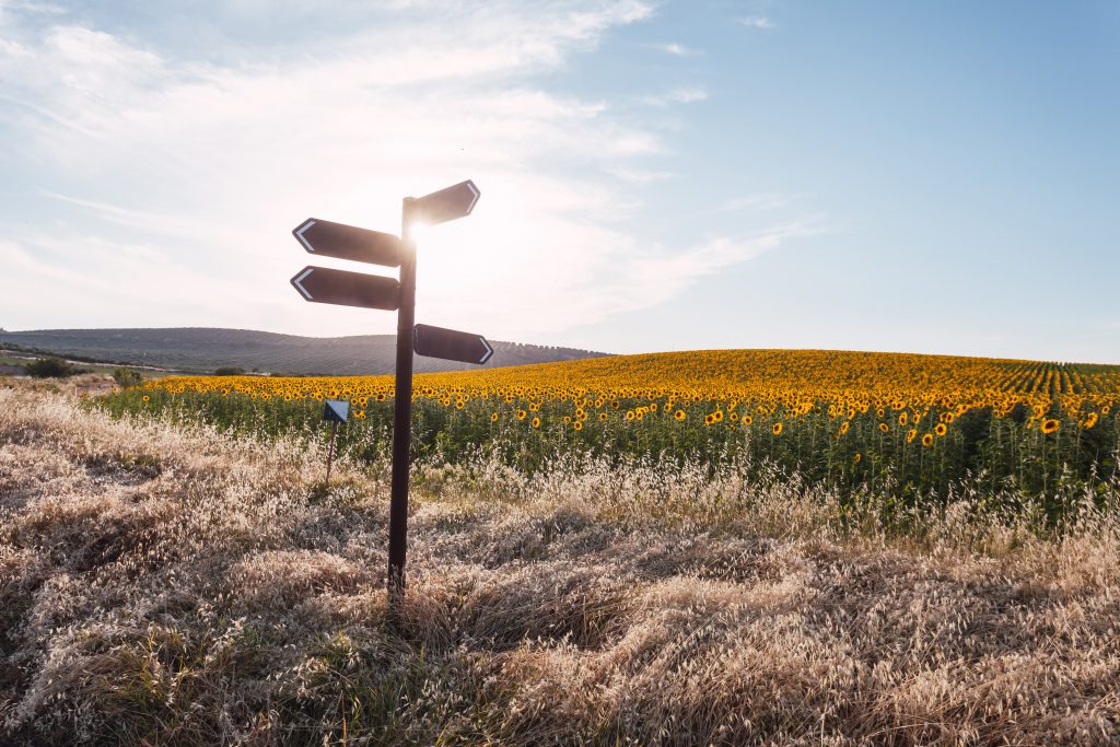 Vorbereitung Idee Entscheidung Header Main
