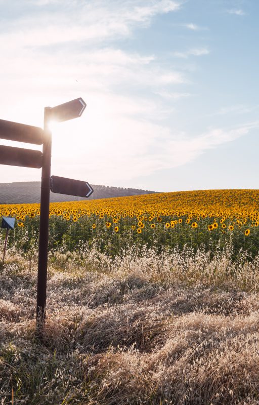 Vorbereitung Idee Entscheidung Header Main